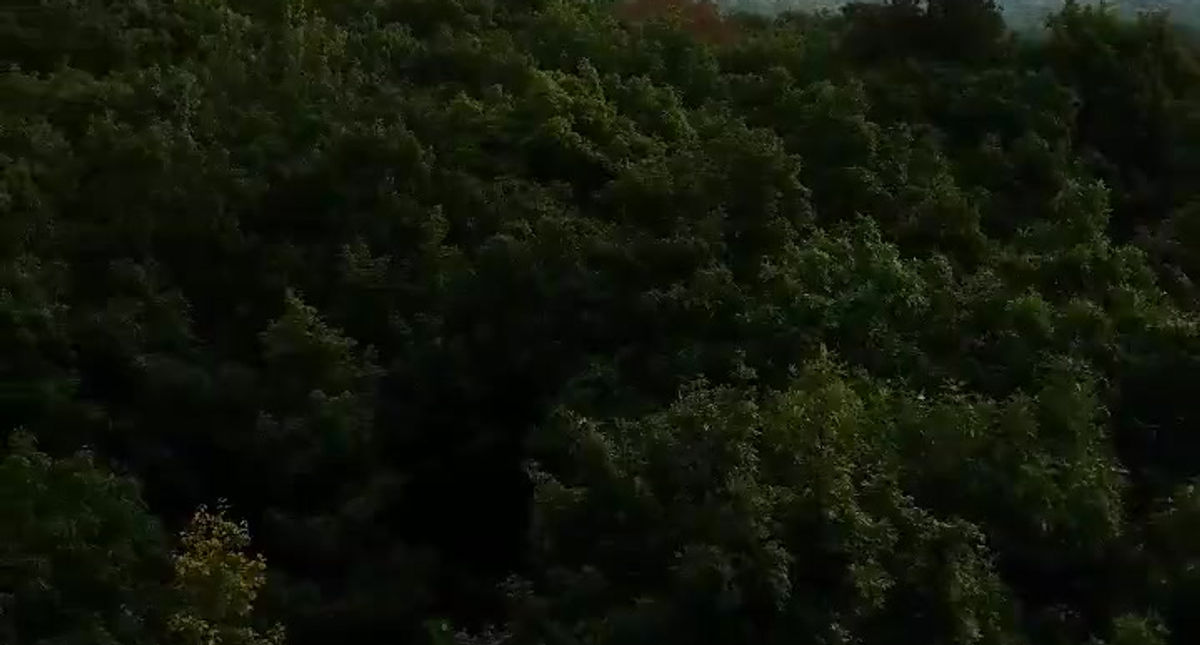 September 17, 2017 Parnell Tower in Kettle Moraine State Forest